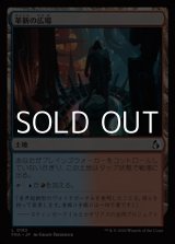 画像: 【日本語Foil】革新の広場/Innovative Commons