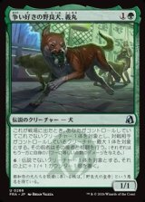 画像: 【日本語】争い好きの野良犬、義丸/Yoshimaru, Scrappy Stray