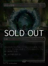 画像: ☆特殊枠【日本語Foil】草茂る農地/Overgrown Farmland