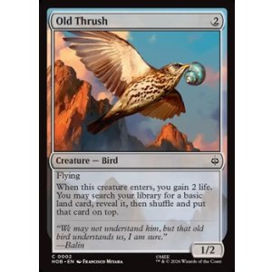 画像: 【英語】大きなツグミ/Old Thrush