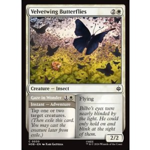 画像: 【英語】ビロード羽の蝶/Velvetwing Butterflies