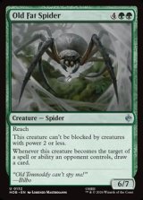 画像: 【英語】でぶの年寄りクモ/Old Fat Spider