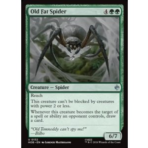 画像: 【英語】でぶの年寄りクモ/Old Fat Spider