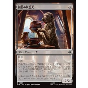 画像: 【日本語】胴長の灰色犬/Long-Bodied Grey Dog