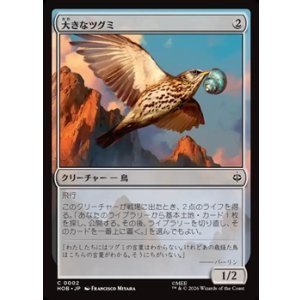 画像: 【日本語】大きなツグミ/Old Thrush