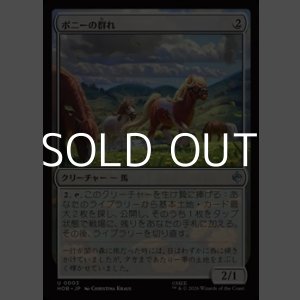 画像: 【日本語】ポニーの群れ/Troop of Ponies