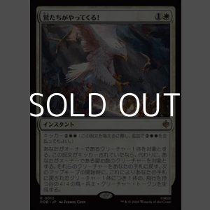 画像: 【日本語】鷲たちがやってくる！/The Eagles Are Coming!