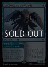 画像: 【日本語】この上なくよぼよぼな年より鳥/Most Decrepit Old Bird