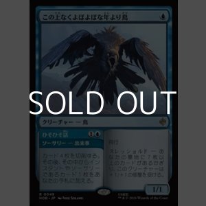 画像: 【日本語】この上なくよぼよぼな年より鳥/Most Decrepit Old Bird