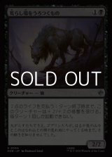 画像: 【日本語】荒らし場をうろつくもの/Desolation Prowler