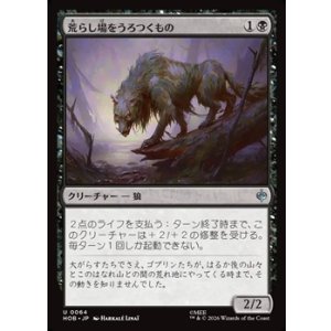 画像: 【日本語Foil】荒らし場をうろつくもの/Desolation Prowler
