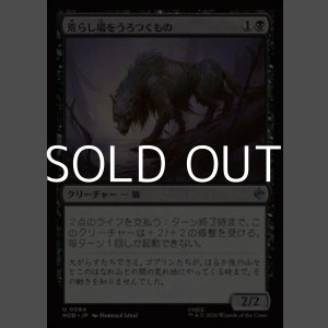 画像: 【日本語】荒らし場をうろつくもの/Desolation Prowler
