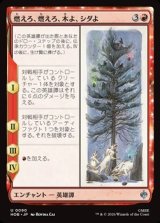 画像: 【日本語】燃えろ、燃えろ、木よ、シダよ/Burn, Burn, Tree and Fern