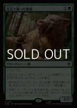 画像: 【日本語】宝石で飾った魔狼/Bejeweled Warg