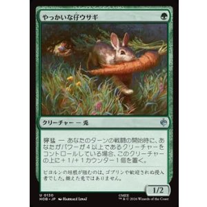 画像: 【日本語】やっかいな仔ウサギ/Nasty Little Rabbit