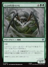 画像: 【日本語】でぶの年寄りクモ/Old Fat Spider