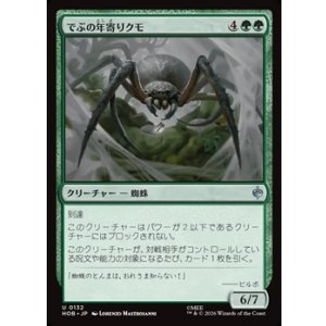 画像: 【日本語】でぶの年寄りクモ/Old Fat Spider