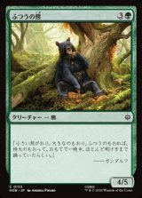 画像: 【日本語】ふつうの熊/Ordinary Bear