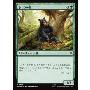 画像: 【日本語】ふつうの熊/Ordinary Bear