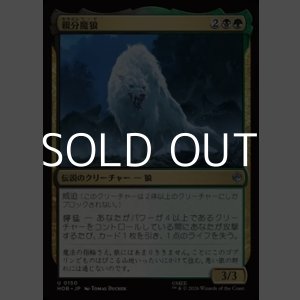 画像: 【日本語Foil】親分魔狼/The Chief Warg