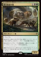 画像: 【日本語】親分魔狼の隊/Chief Warg's Company