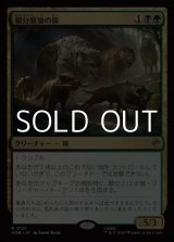 画像: 【日本語Foil】親分魔狼の隊/Chief Warg's Company