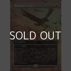 画像: ☆特殊枠【日本語】鷲たちがやってくる！/The Eagles Are Coming!