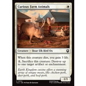 画像: 【英語】農場の奇妙な動物たち/Curious Farm Animals