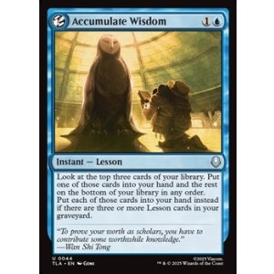 画像: 【英語】積み重ねられた叡智/Accumulate Wisdom