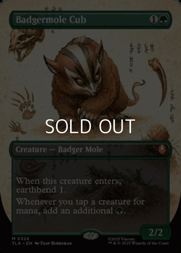 画像1: ☆特殊枠【英語】アナグマモグラの仔/Badgermole Cub (1)