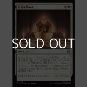 画像: 【日本語Foil】白蓮を集めよ/Gather the White Lotus