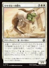 画像: 【日本語】ウサギルーの群れ/Rabaroo Troop