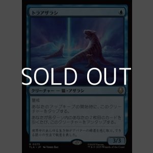 画像: 【日本語】トラアザラシ/Tiger-Seal