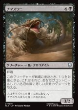 画像: 【日本語】ナマズワニ/Cat-Gator