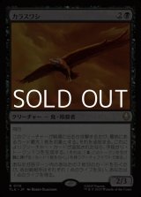 画像: 【日本語】カラスワシ/Raven Eagle