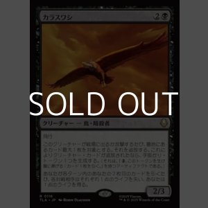 画像: 【日本語】カラスワシ/Raven Eagle