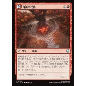 画像: 【日本語】自由の代価/Price of Freedom