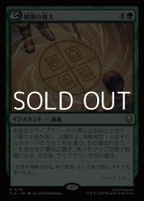 画像: 【日本語Foil】根源の教え/Elemental Teachings