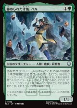 画像: 【日本語】秘められた才能、ハル/Haru, Hidden Talent