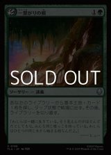 画像: 【日本語】一繋がりの根/Shared Roots