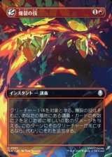 画像: ☆特殊枠【日本語】爆裂の技/Combustion Technique