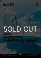 画像: ☆特殊枠【日本語】引き裂く流弾/Rending Volley