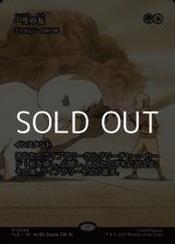 画像: ☆特殊枠【日本語】一生の友/Lifelong Friendship