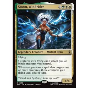 画像: 【英語】ウィンドライダー、ストーム/Storm, Windrider