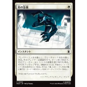 画像: 【日本語】豹の急襲/Panther Pounce