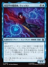画像: 【日本語】成長中の魔術師、ウィッカン/Wiccan, Rising Magician