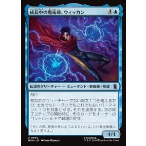 画像: 【日本語】成長中の魔術師、ウィッカン/Wiccan, Rising Magician