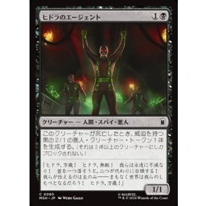 画像: 【日本語】ヒドラのエージェント/Agents of HYDRA