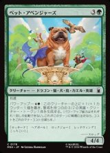 画像: 【日本語】ペット・アベンジャーズ/Pet Avengers