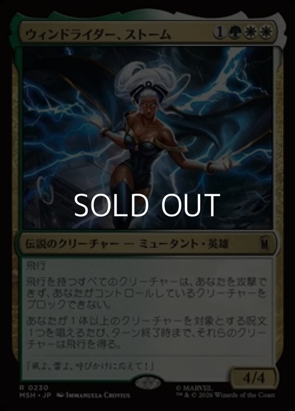 画像1: 【日本語Foil】ウィンドライダー、ストーム/Storm, Windrider (1)